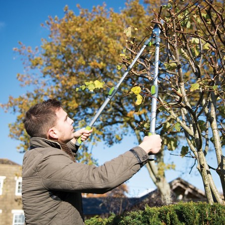 Ébrancheur télescopique à enclume SILVERLINE