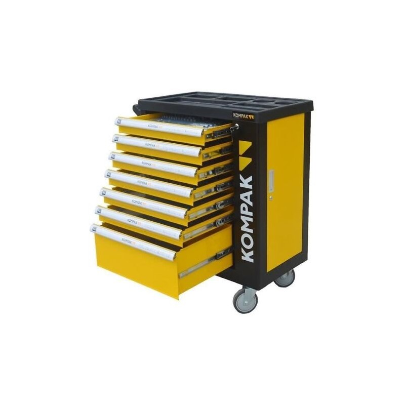 Servante d'atelier pro équipée 252 outils CV idéale garage automobile