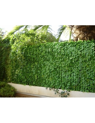 Brise vue feuilles de lierres hauteur 1 mètre sur 3 mètres.