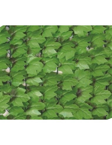 Brise vue feuilles de lierres hauteur 1 mètre sur 3 mètres.