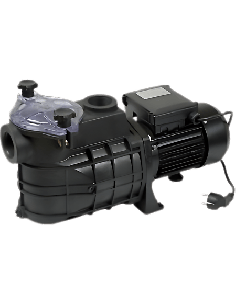 Pompe de filtrage 825 Watts pour piscine privée