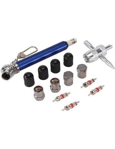 Coffret 14 pièces de réparation de valves de pneus 10 - 50 psi marque SILVERLINE