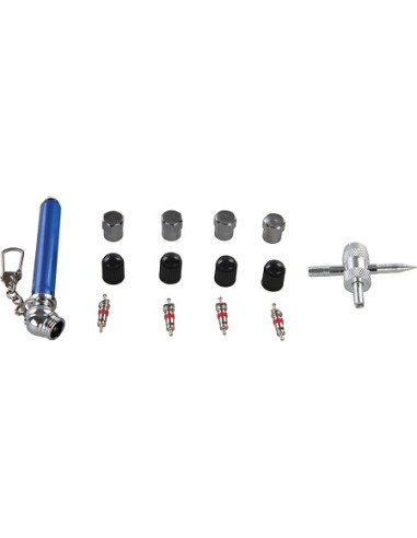 Coffret 14 pièces de réparation de valves de pneus 10 - 50 psi marque SILVERLINE