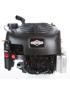 Moteur Briggs et Stratton série 625 QUANTUM 2