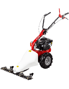 Motofaucheuse Eurosystems BILAMA M210 moteur B & S