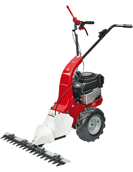 Motofaucheuse Eurosystems Minieffe Briggs Stratton 625