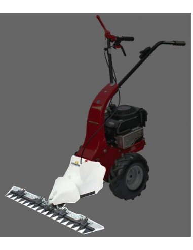 Motofaucheuse Eurosystems Minieffe Briggs Stratton 625