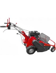 Débroussailleuse à fléaux moteur OHV 8 CV largeur 60 cm 2