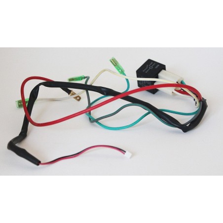 Cables de connexion pour Camper Trolley