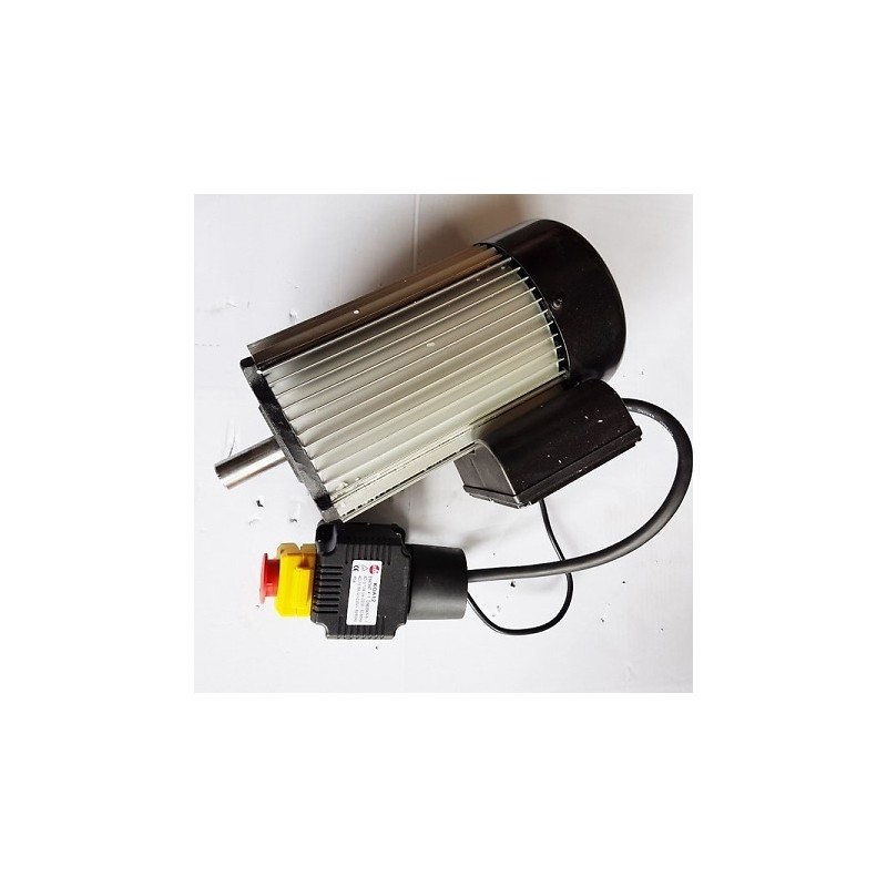 Moteur électrique 2600 w pièce 16232022 en vente chez