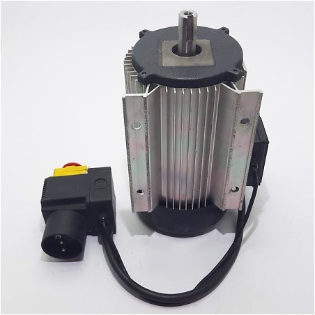 Moteur électrique 2600 w pièce 16232022 en vente chez