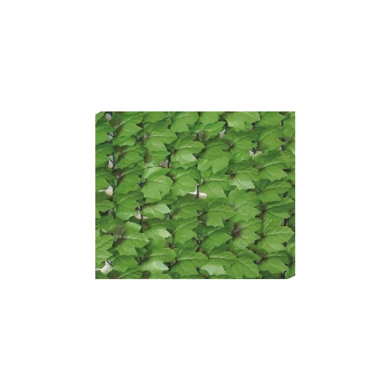 Brise vue feuilles de lierres hauteur 1,5 mètre.