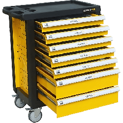 Servante d'atelier pro équipée 173 outils idéale bricoleur confirmé