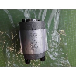 80 pompe hydraulique 10009681 pour zipper zi-hs14tn marque Zipper pièce détachée 10009681 pièce pour ZI-HS14TN en vente chez