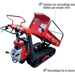 Transporteur autoporté IMER pour professionnel 2