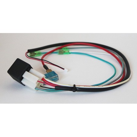 Cables de connexion avec fusible 60A pour Camper Trolley
