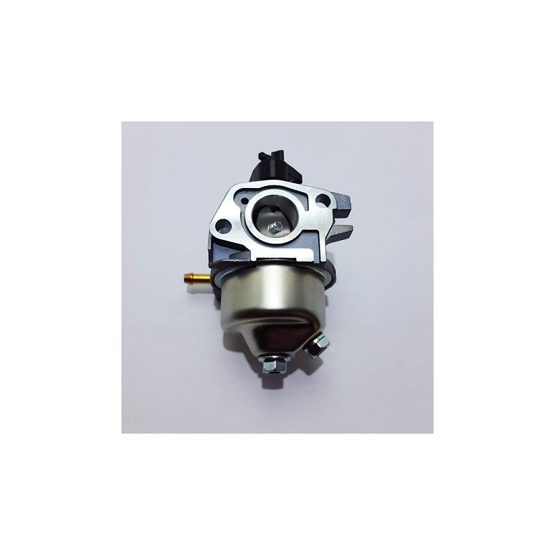 Carburateur 18 mm 20024000