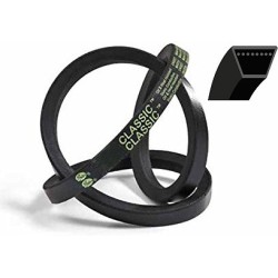 Courroie de traction de rechange tondeuse Elem Garden TTAC51T-CC173