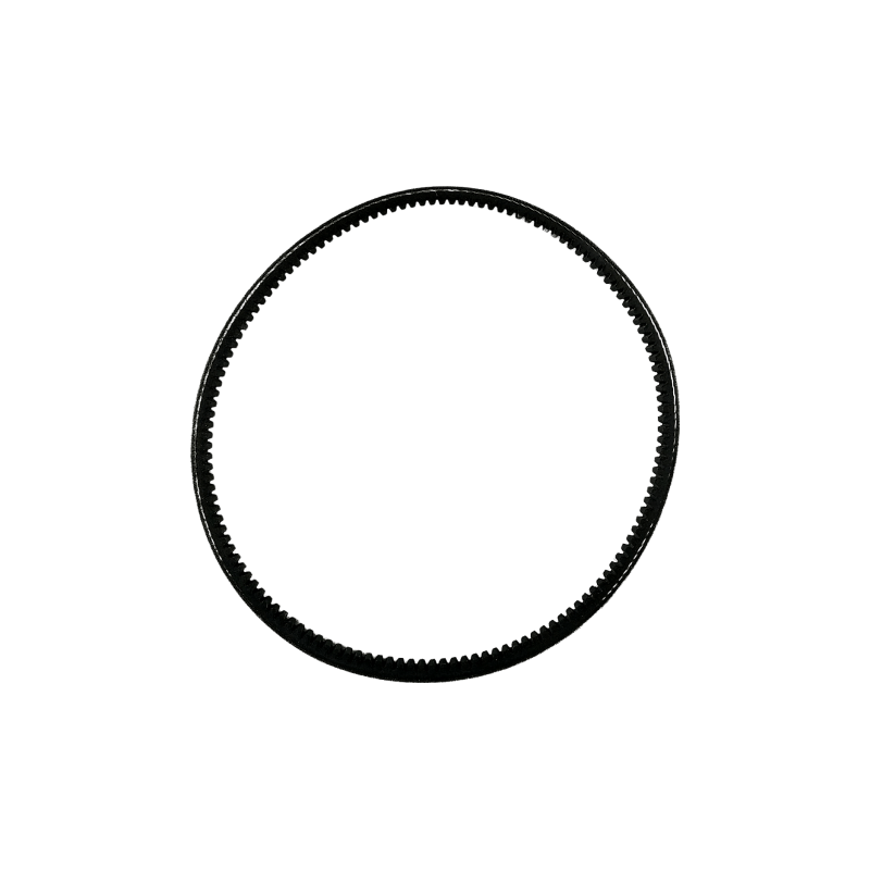 Courroie 10x540 dentée z21 1/4, pièce 300005249 pour Motobineuse ZAPPA électrique, Eurosystems