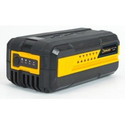 Batterie Garland Keeper bat 2-v19 ref 56B-0004