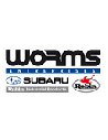 Robin Worms